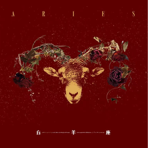 9l视频自拍蝌蚪9l视频成人
