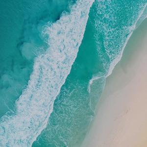 9l视频自拍蝌蚪9l视频成人
