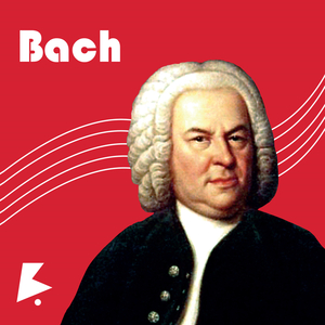 9l视频自拍蝌蚪9l视频成人
